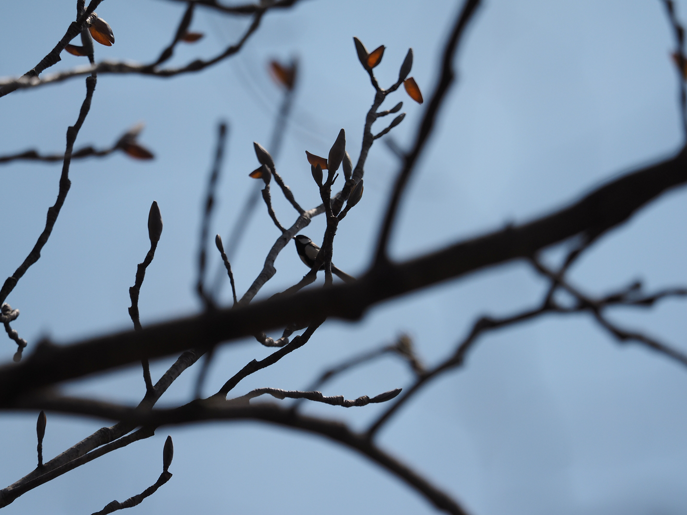 P4166427.jpg