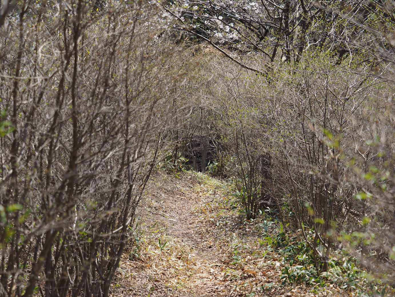 P4166428.jpg