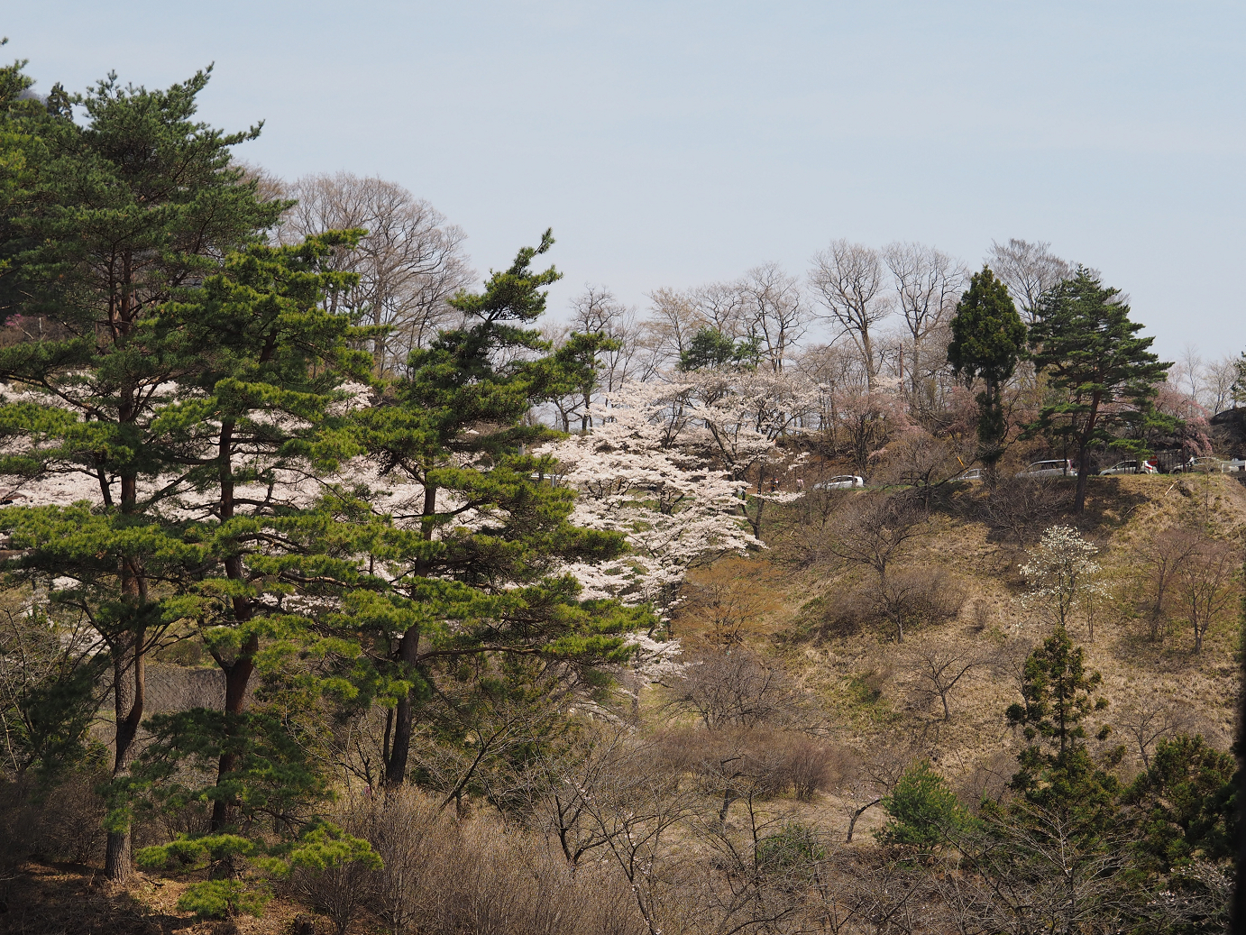 P4166430.jpg