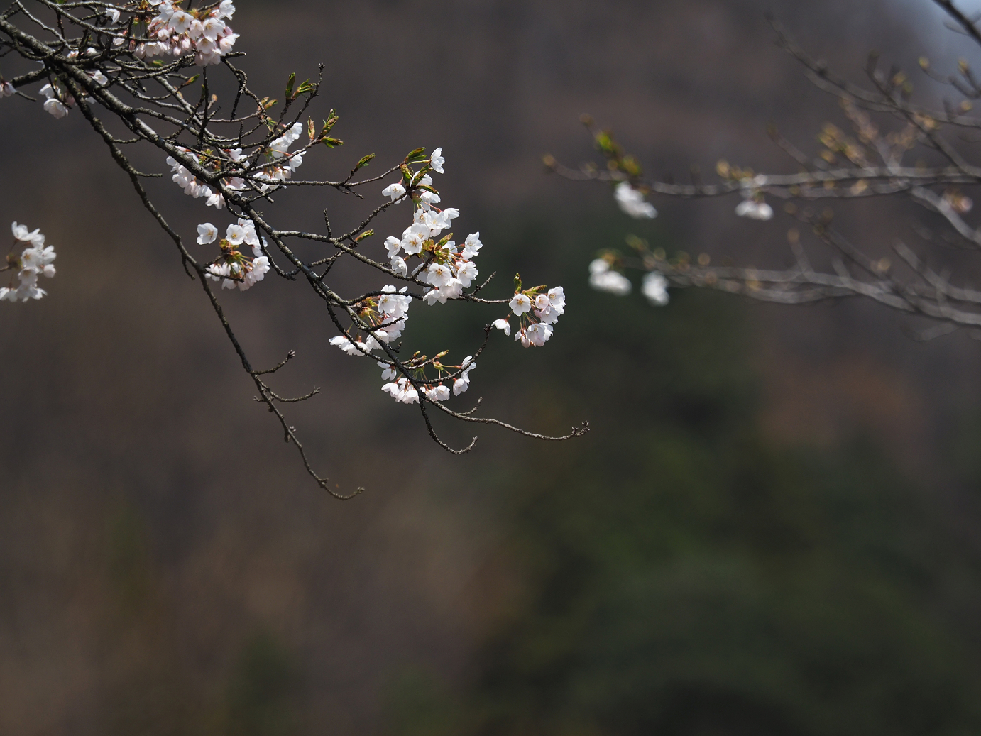 P4166440.jpg