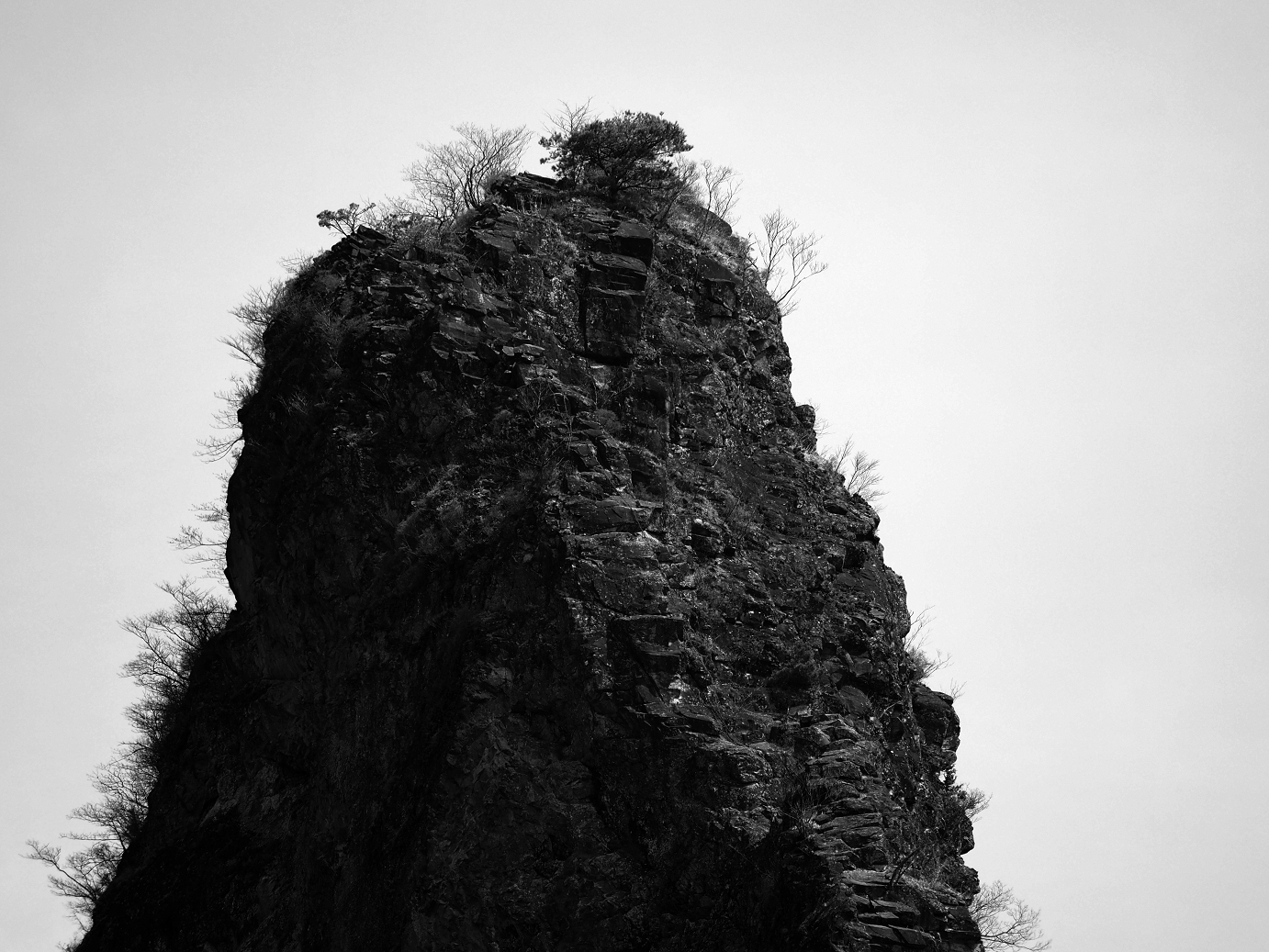 P4166442.jpg