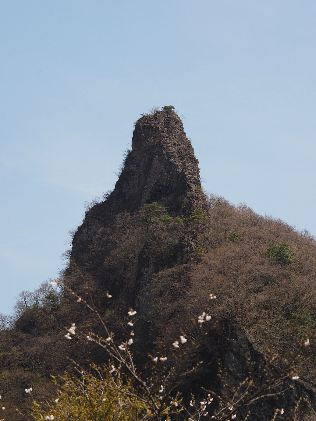 P4166443.jpg