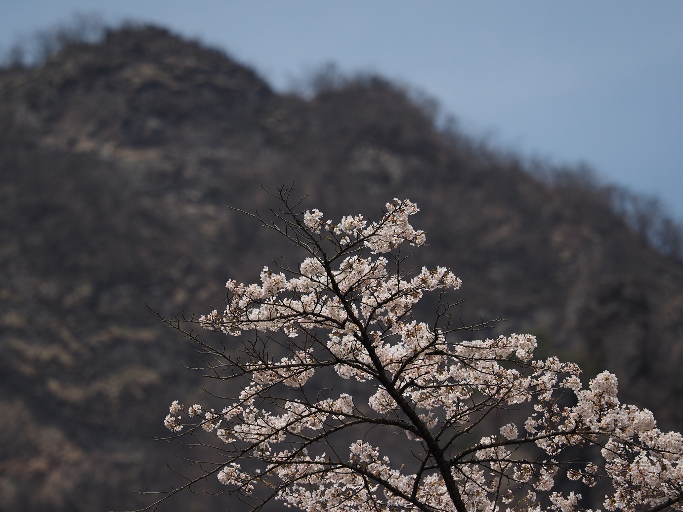 P4166453.jpg