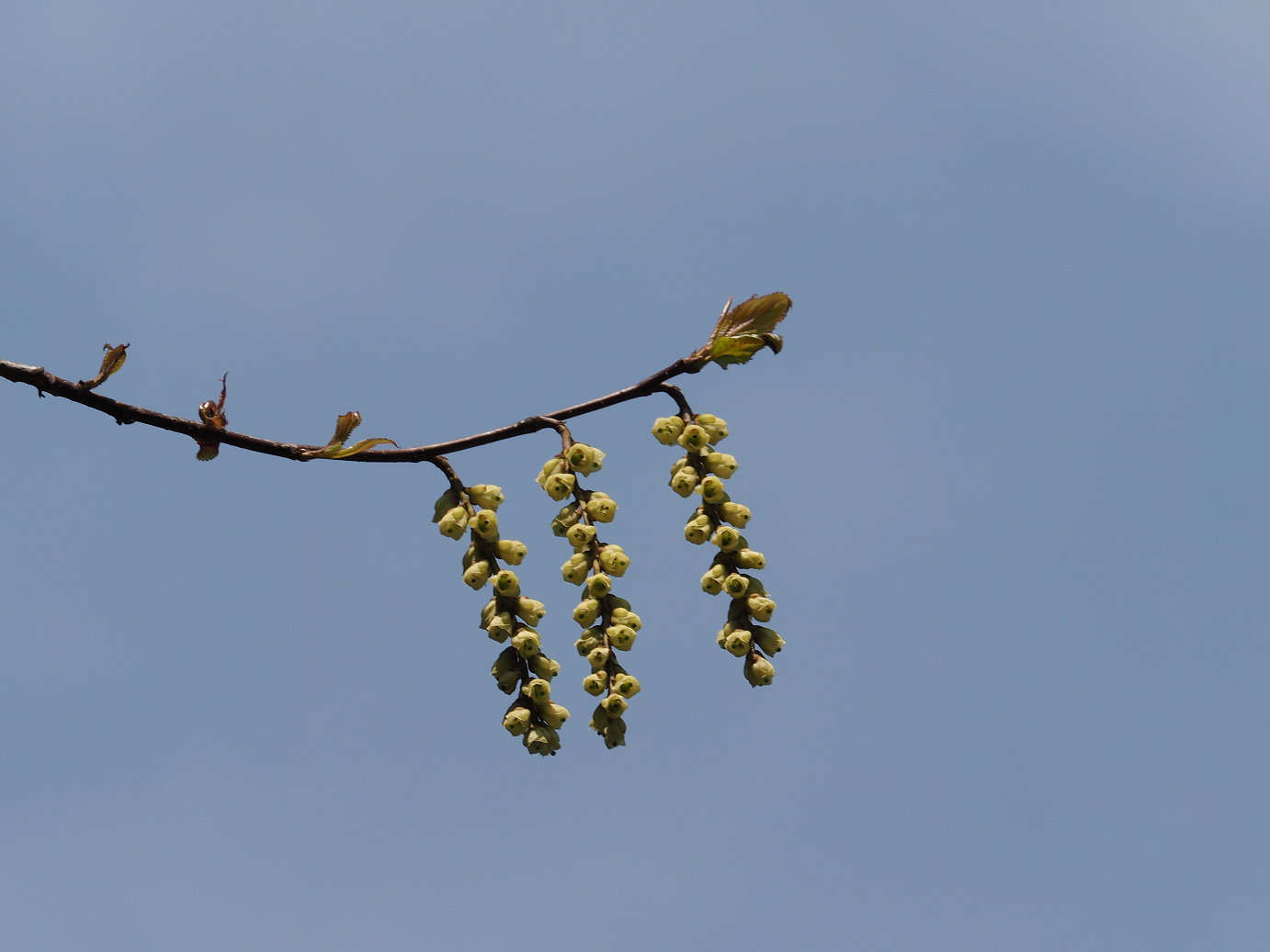 P4166460.jpg
