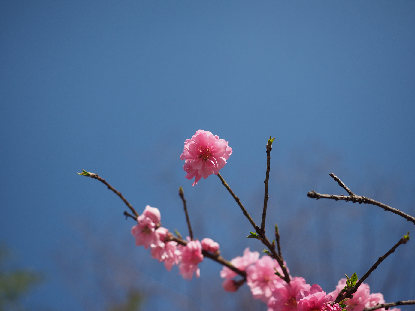 P4236555.jpg