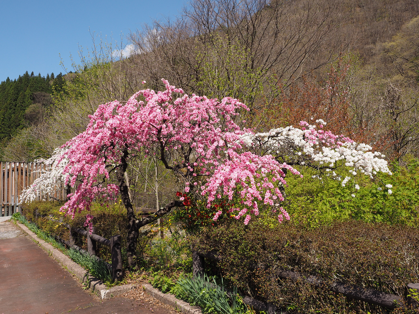 P4236565.jpg