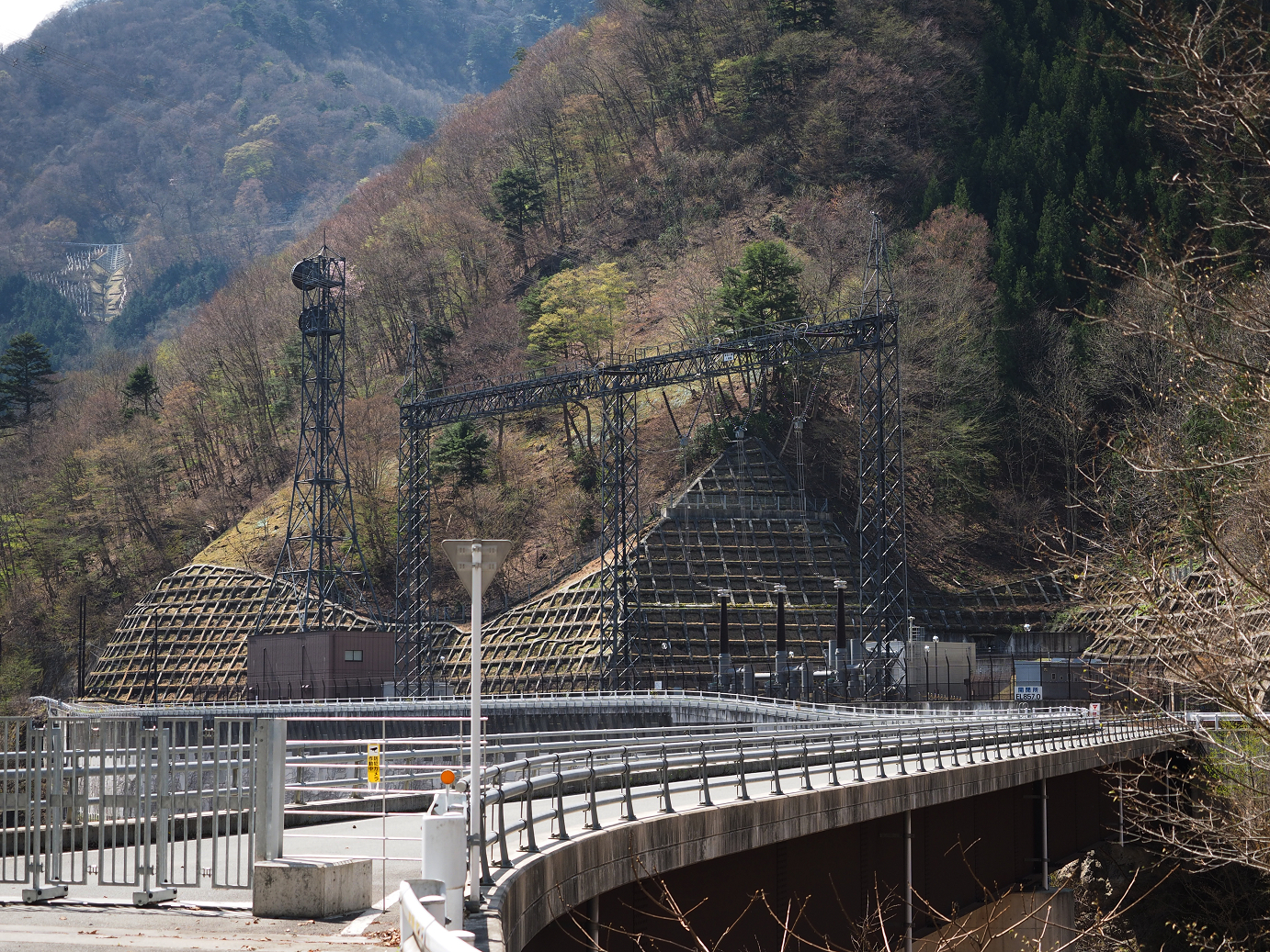 P4236590.jpg