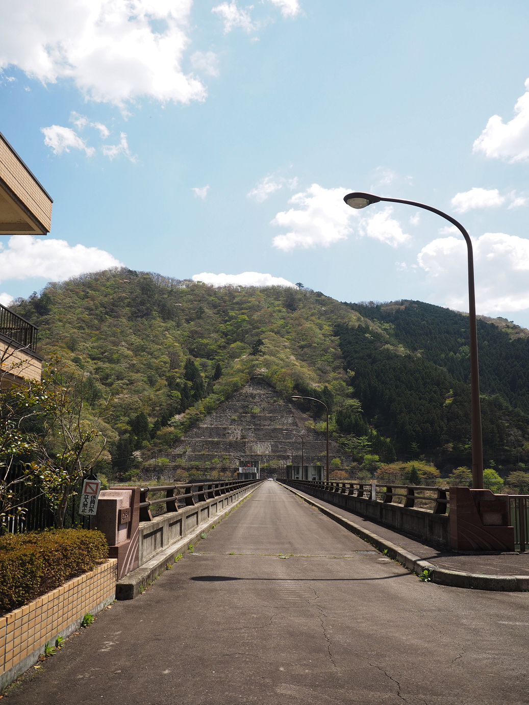 P4236634.jpg