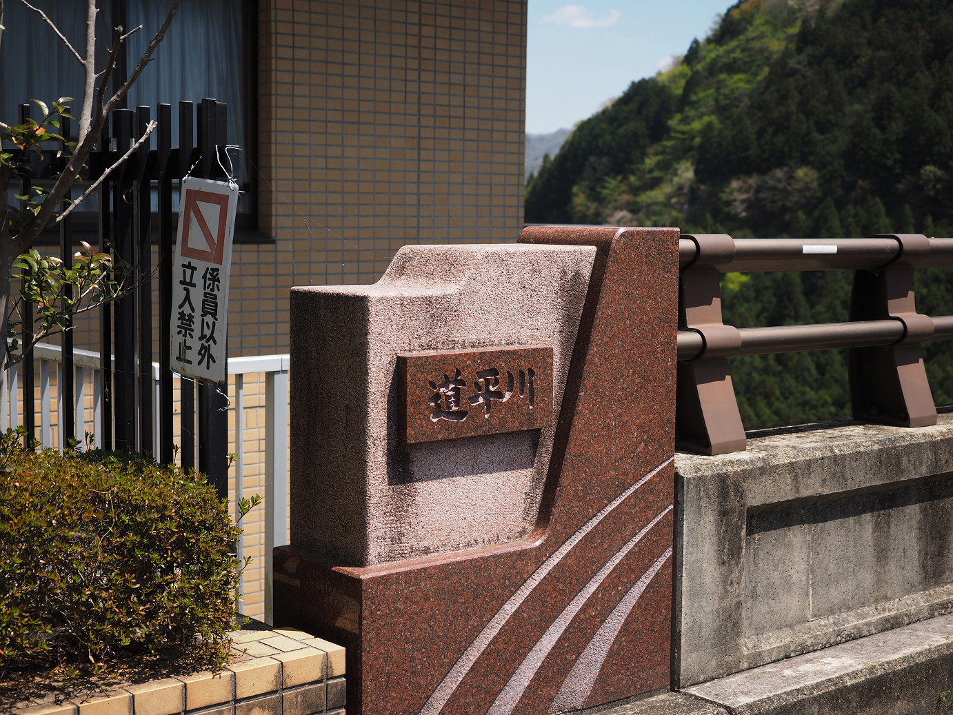 P4236635.jpg