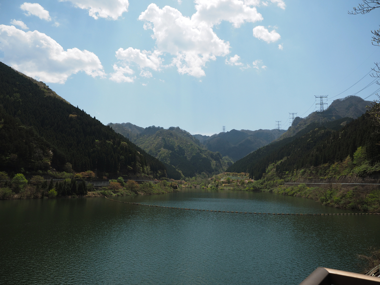 P4236639.jpg