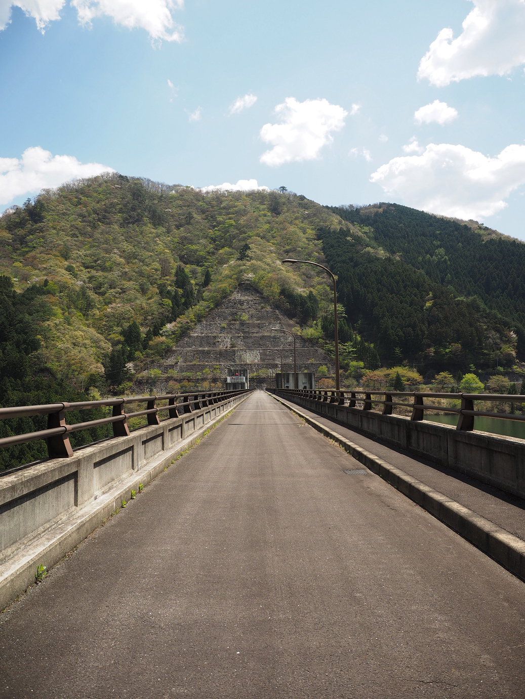 P4236644.jpg