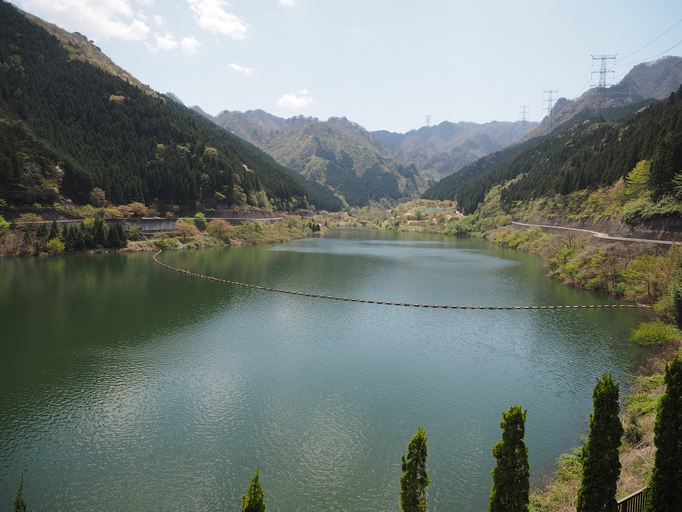 P4236654.jpg
