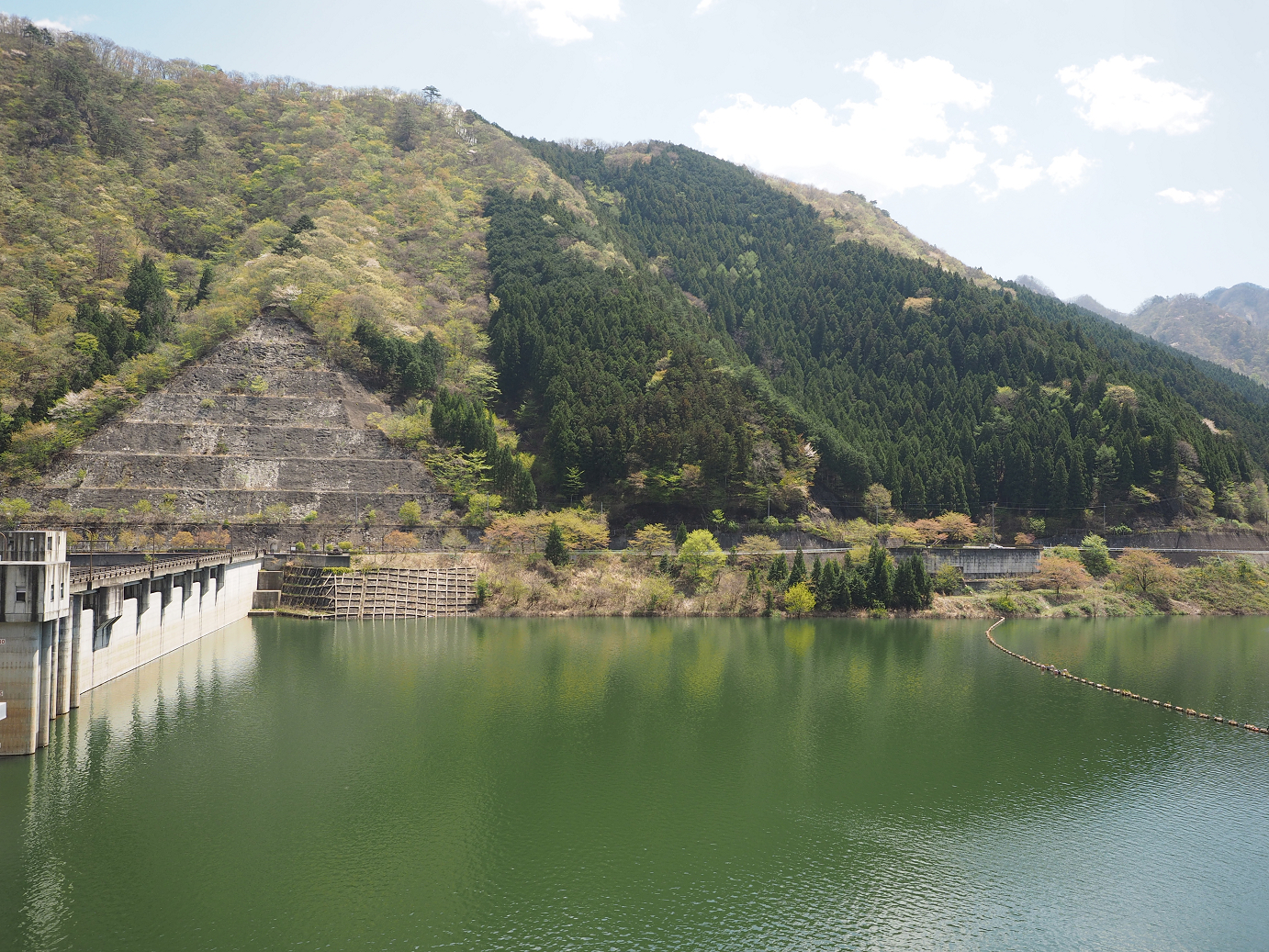 P4236655.jpg