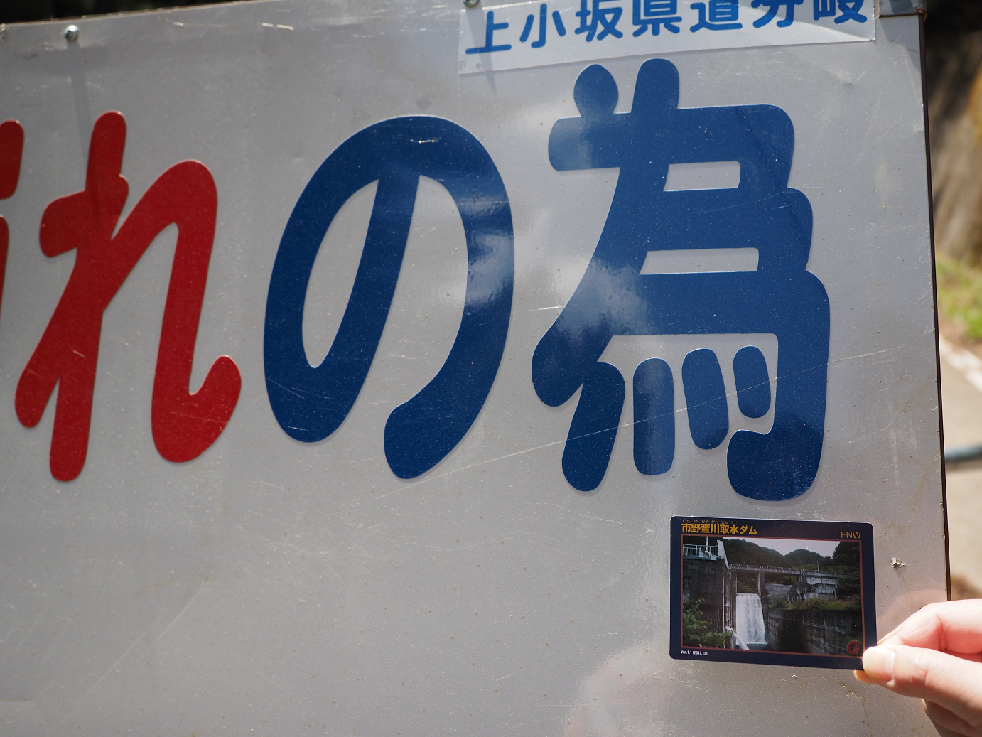 P4236667.jpg