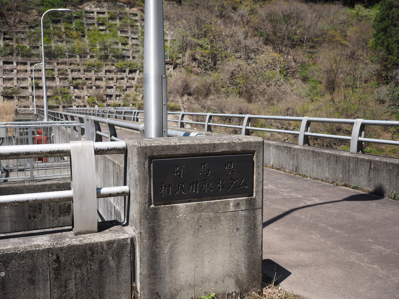 P4236672.jpg