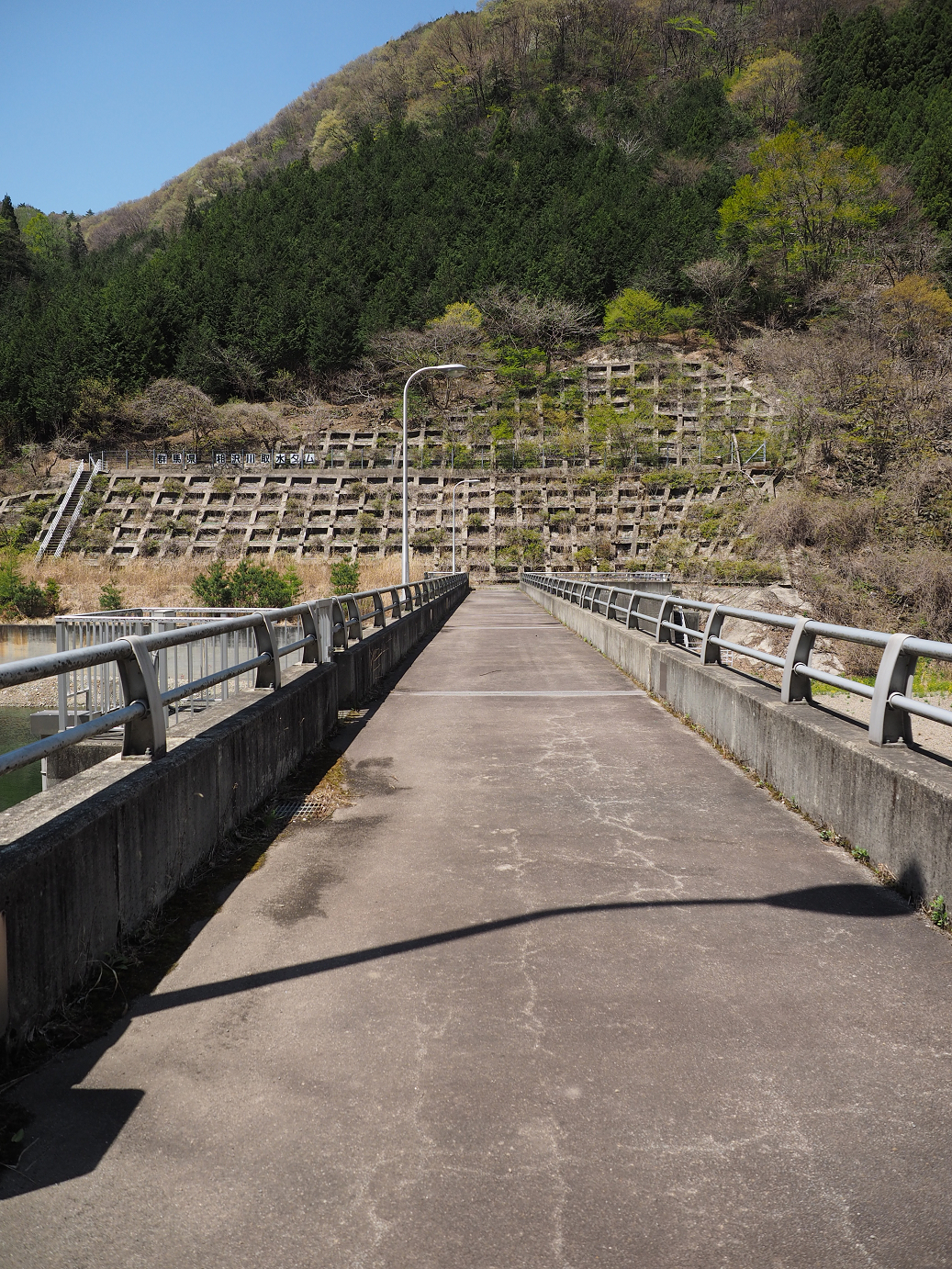 P4236676.jpg