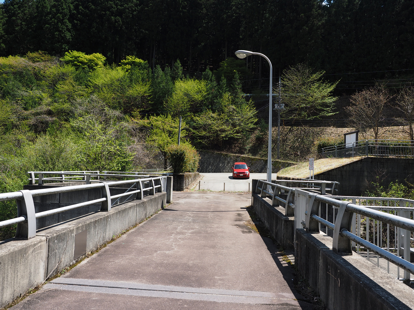P4236692.jpg