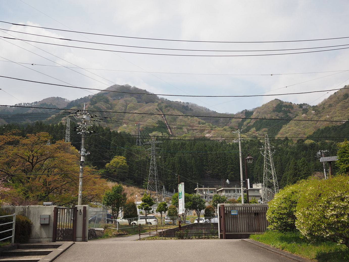 P4246704.jpg