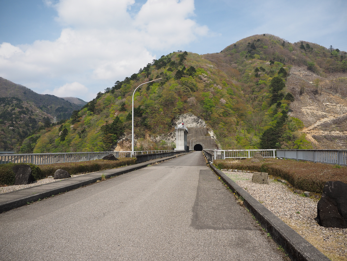 P4246710.jpg