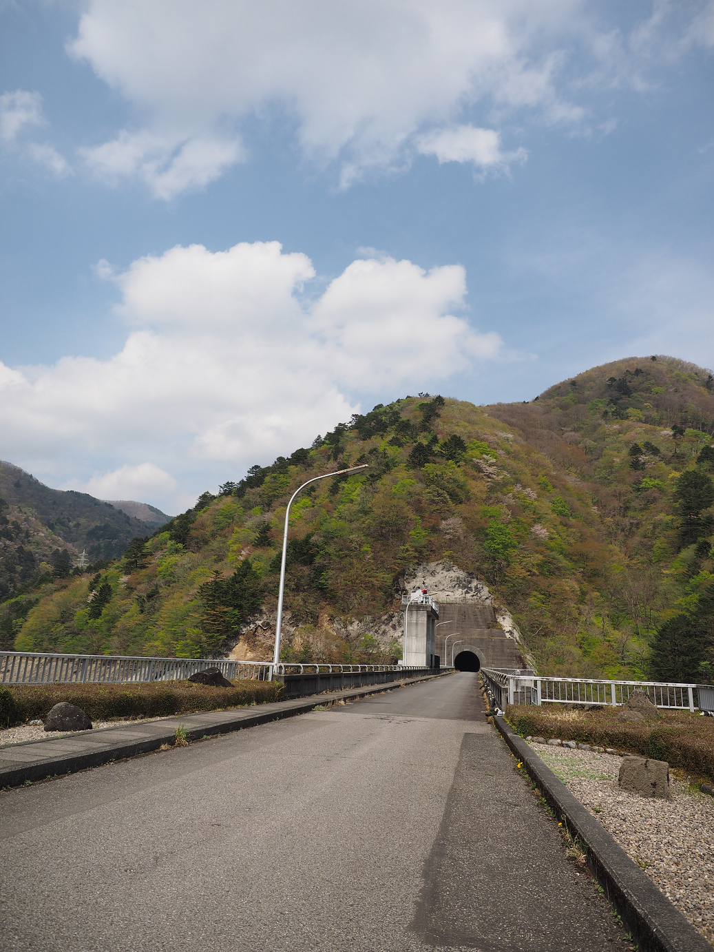 P4246711.jpg