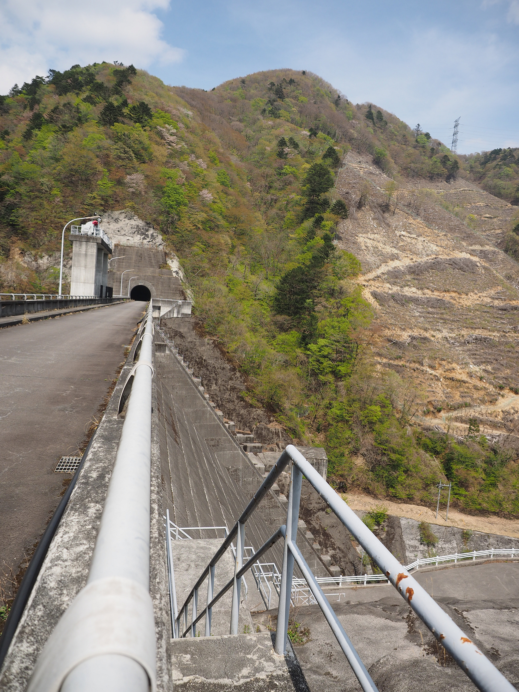 P4246713.jpg