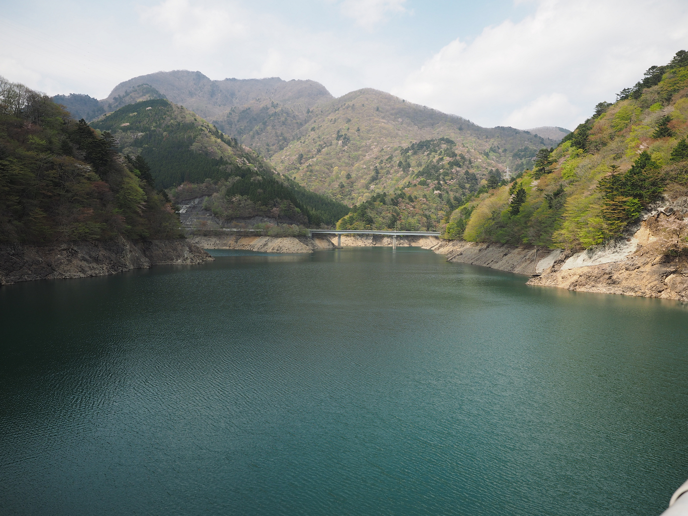 P4246714.jpg