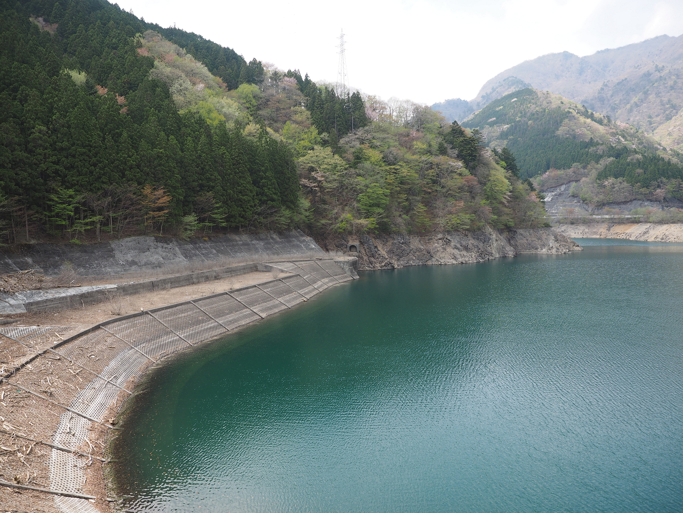 P4246716.jpg