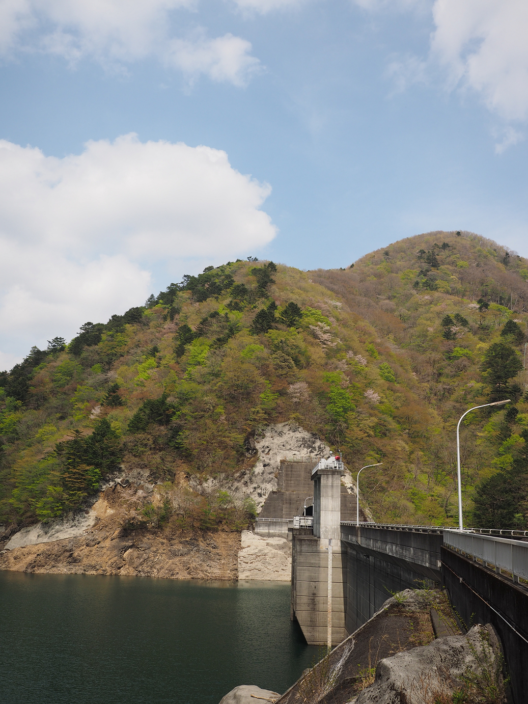 P4246720.jpg