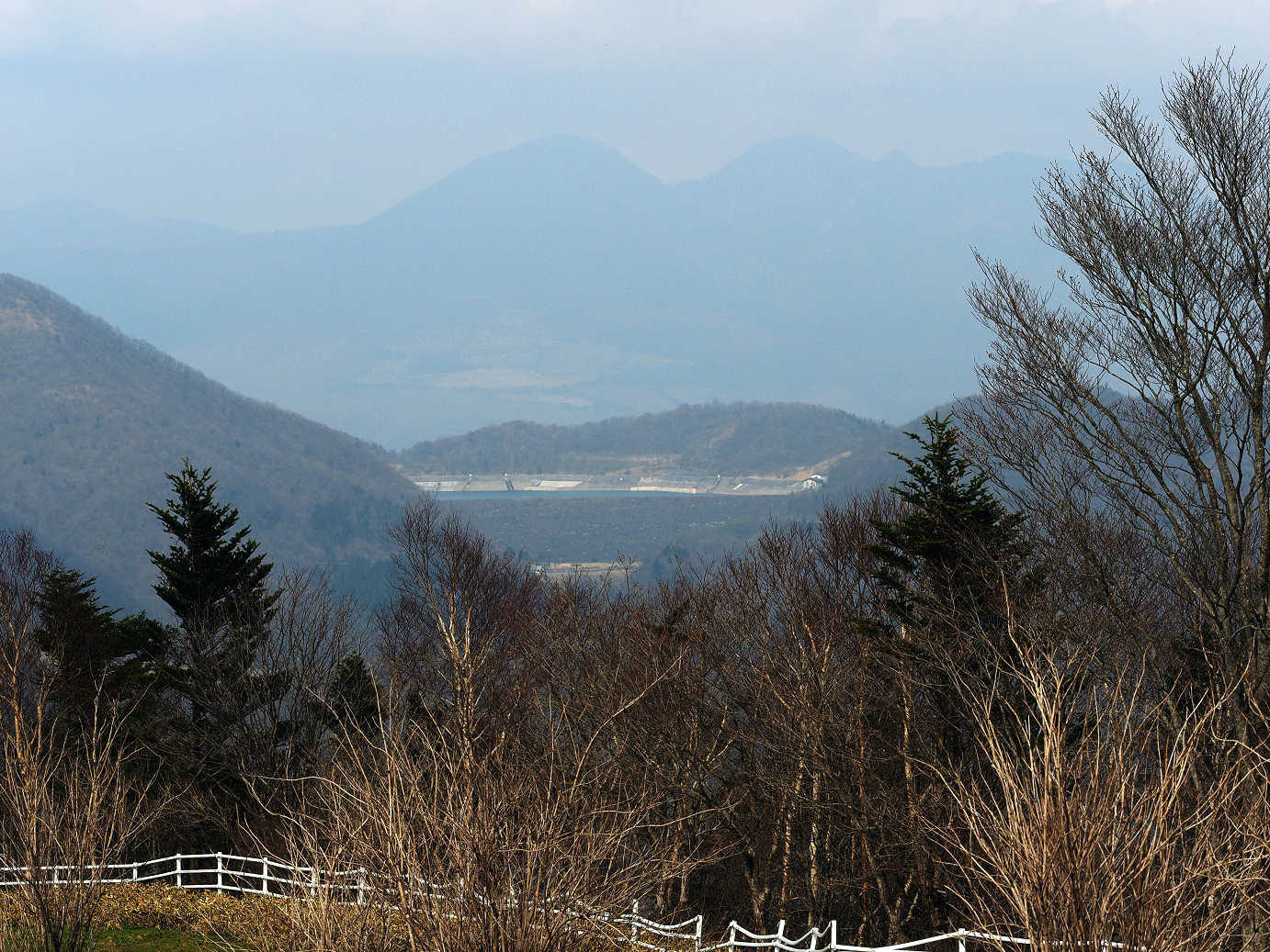 P4246743.jpg