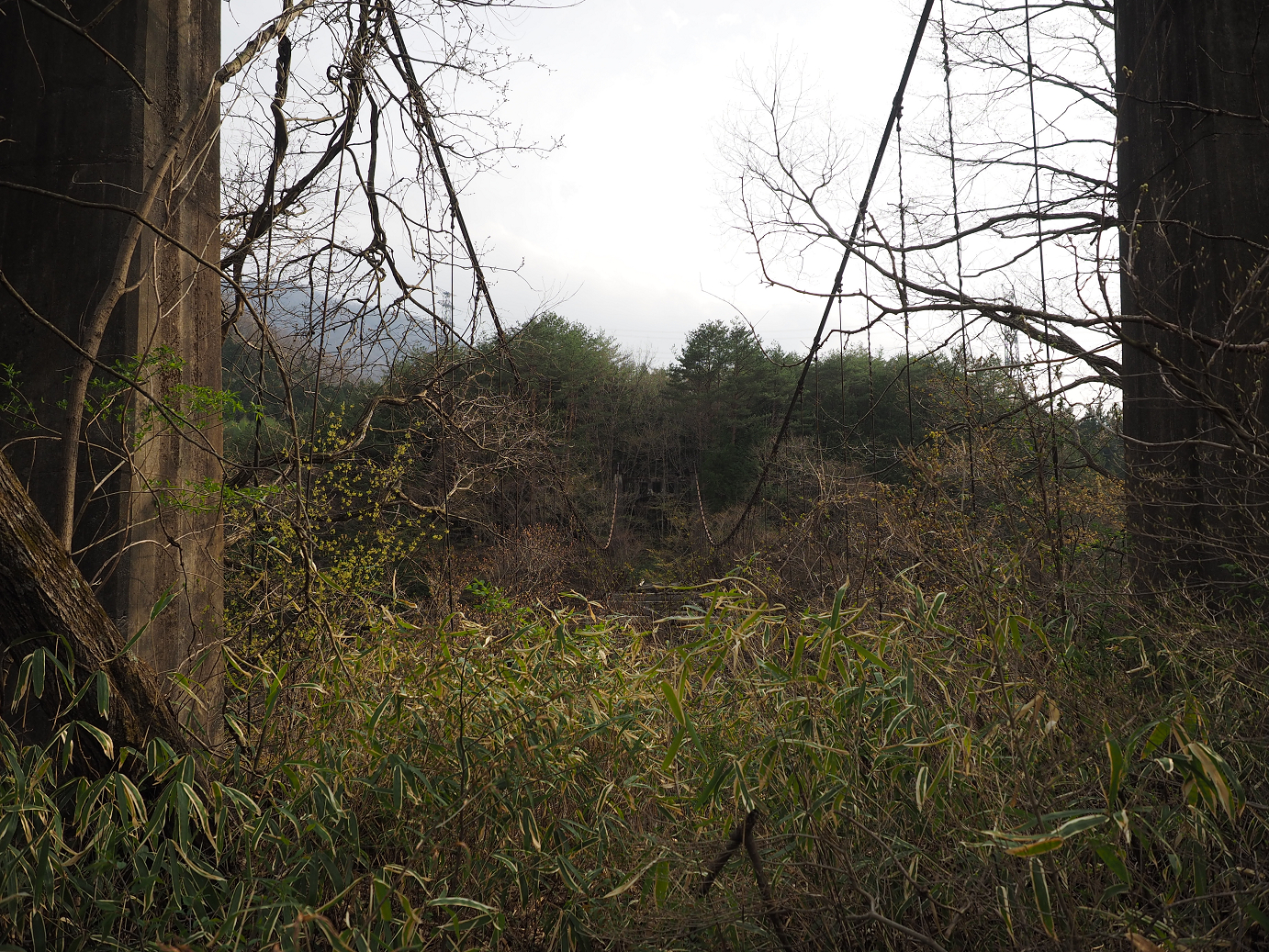 P4246767.jpg