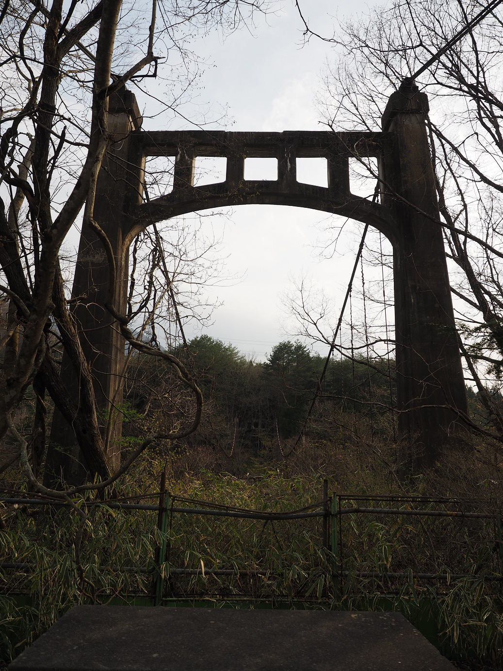 P4246768.jpg