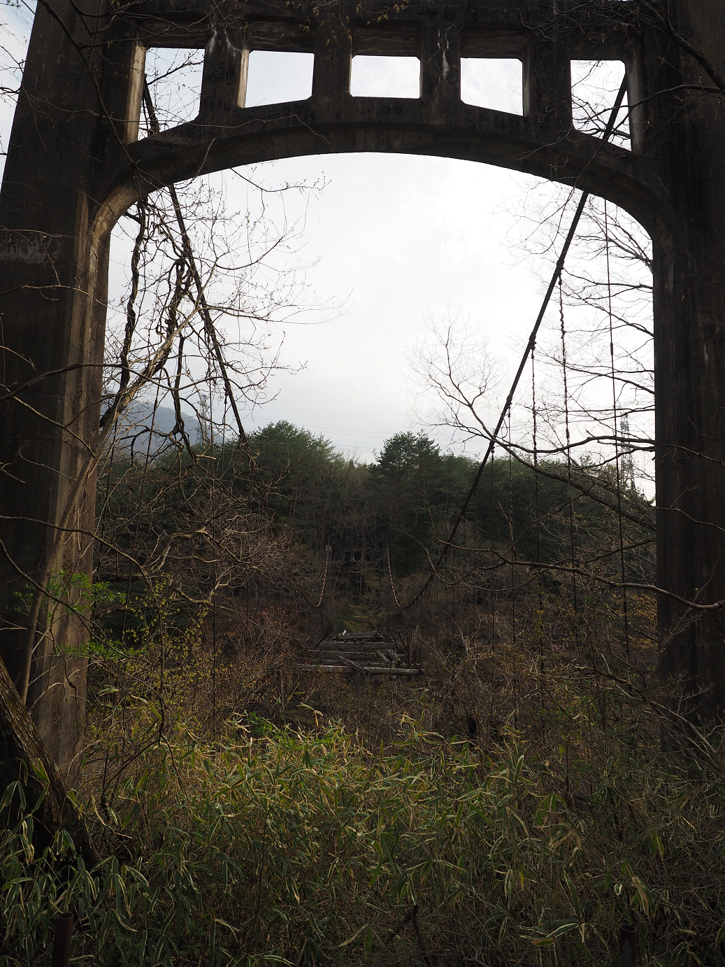 P4246769.jpg
