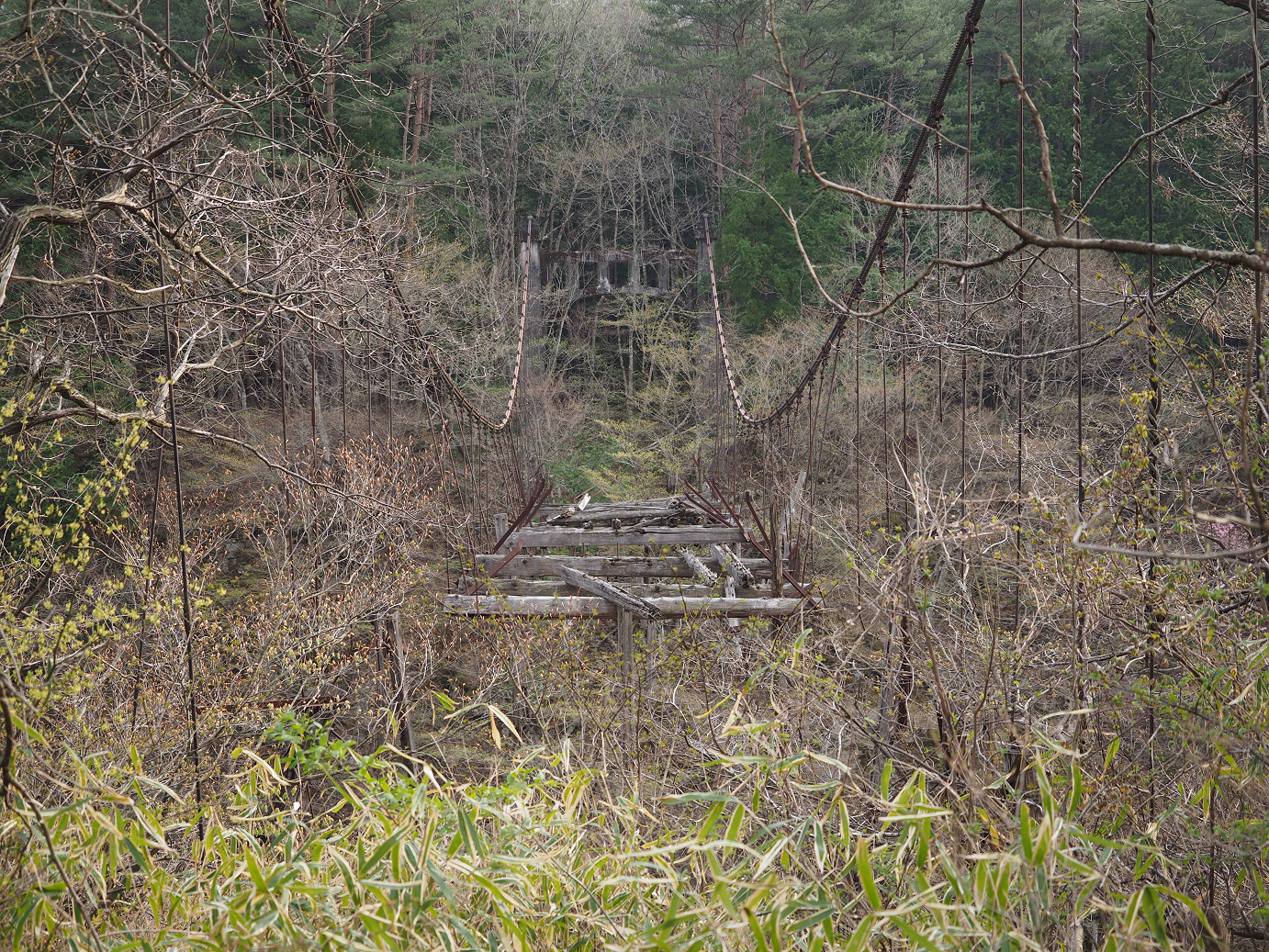 P4246770.jpg