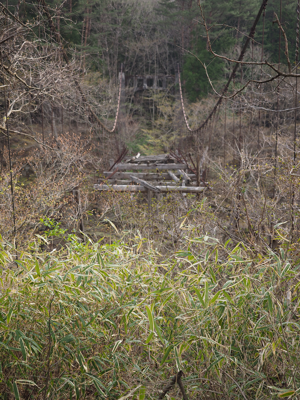 P4246771.jpg