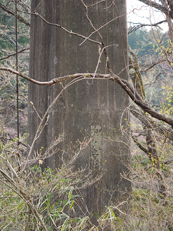 P4246772_thumb.png