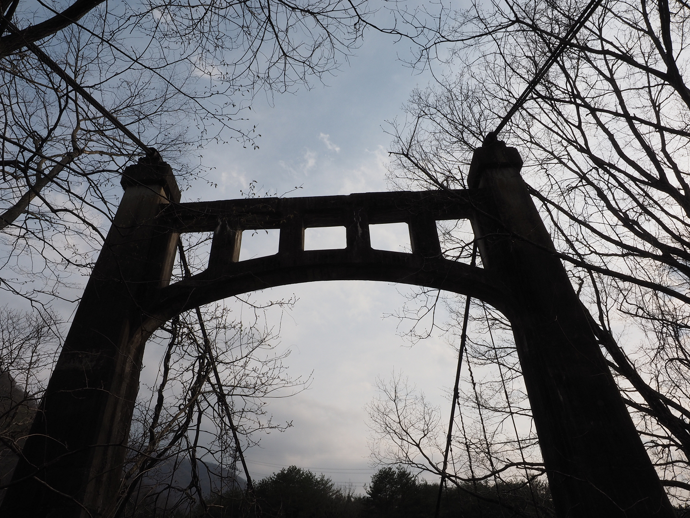 P4246775.jpg