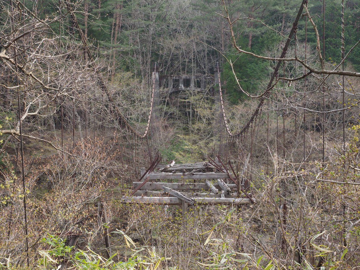 P4246776.jpg