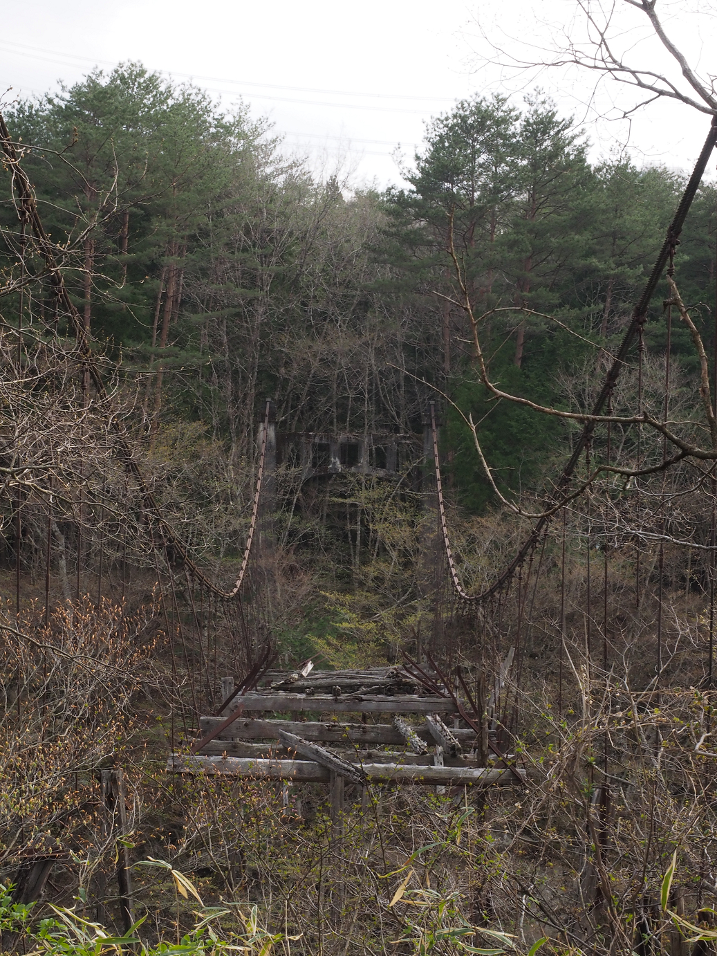 P4246777.jpg