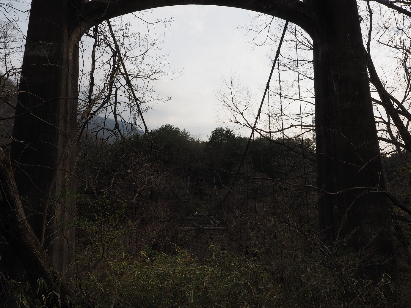 P4246778.jpg