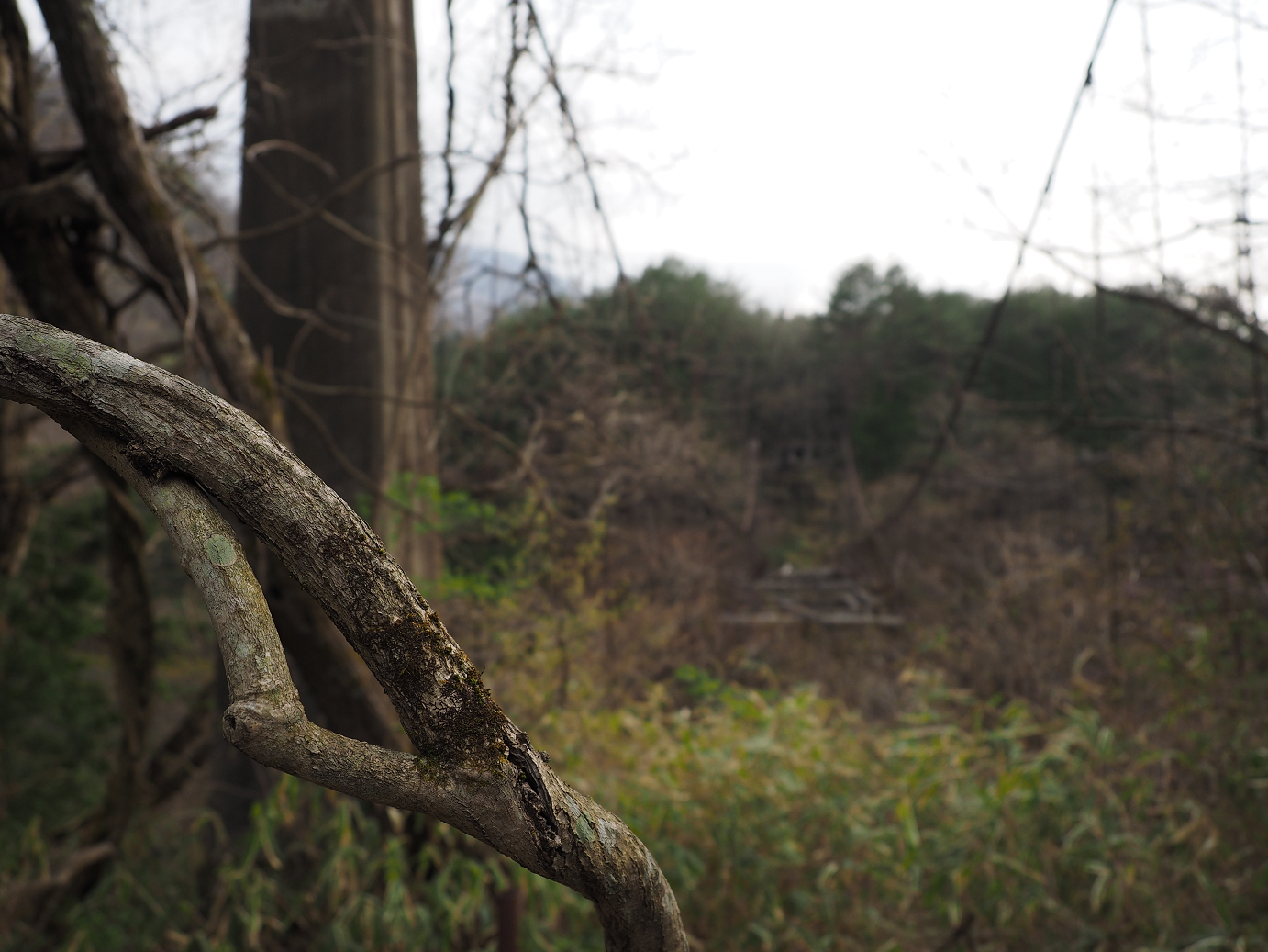 P4246781.jpg