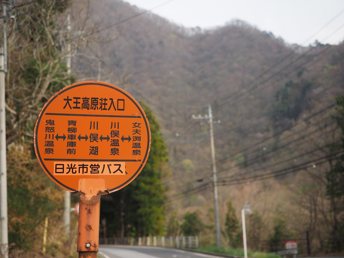 P4246786.jpg