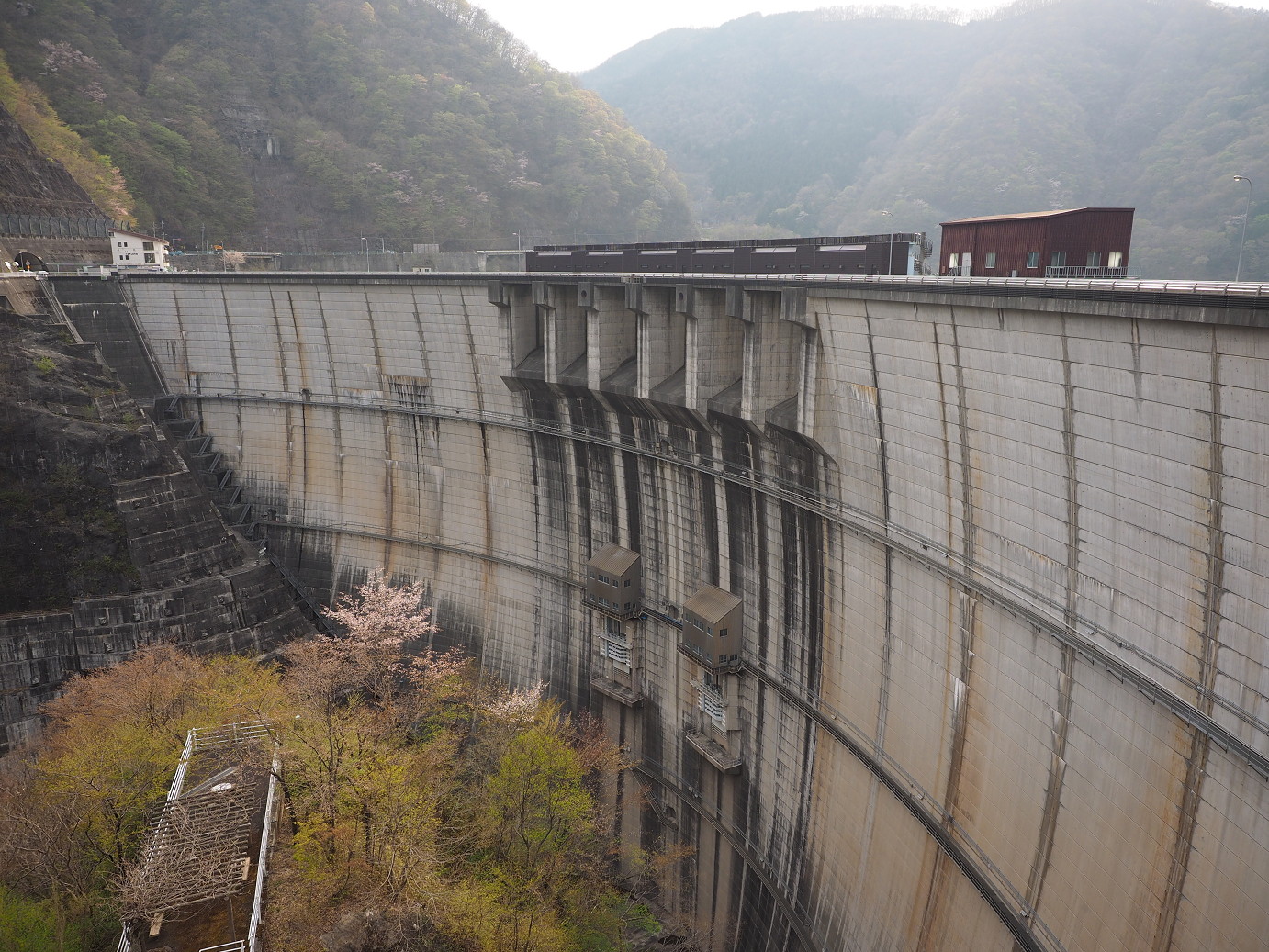 P4246791.jpg