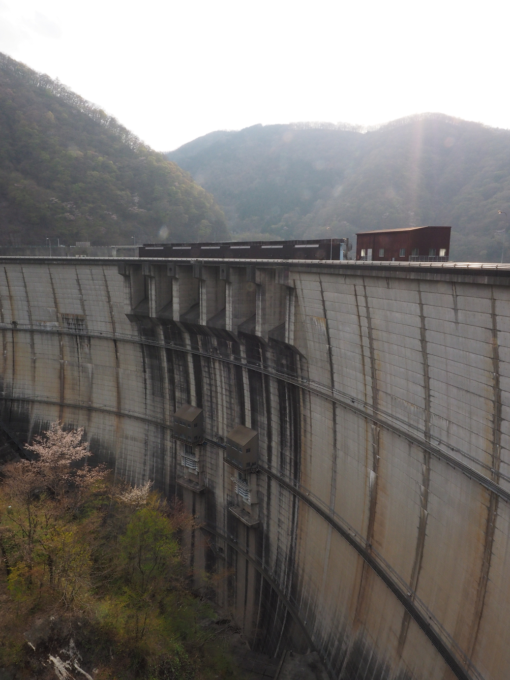P4246793.jpg