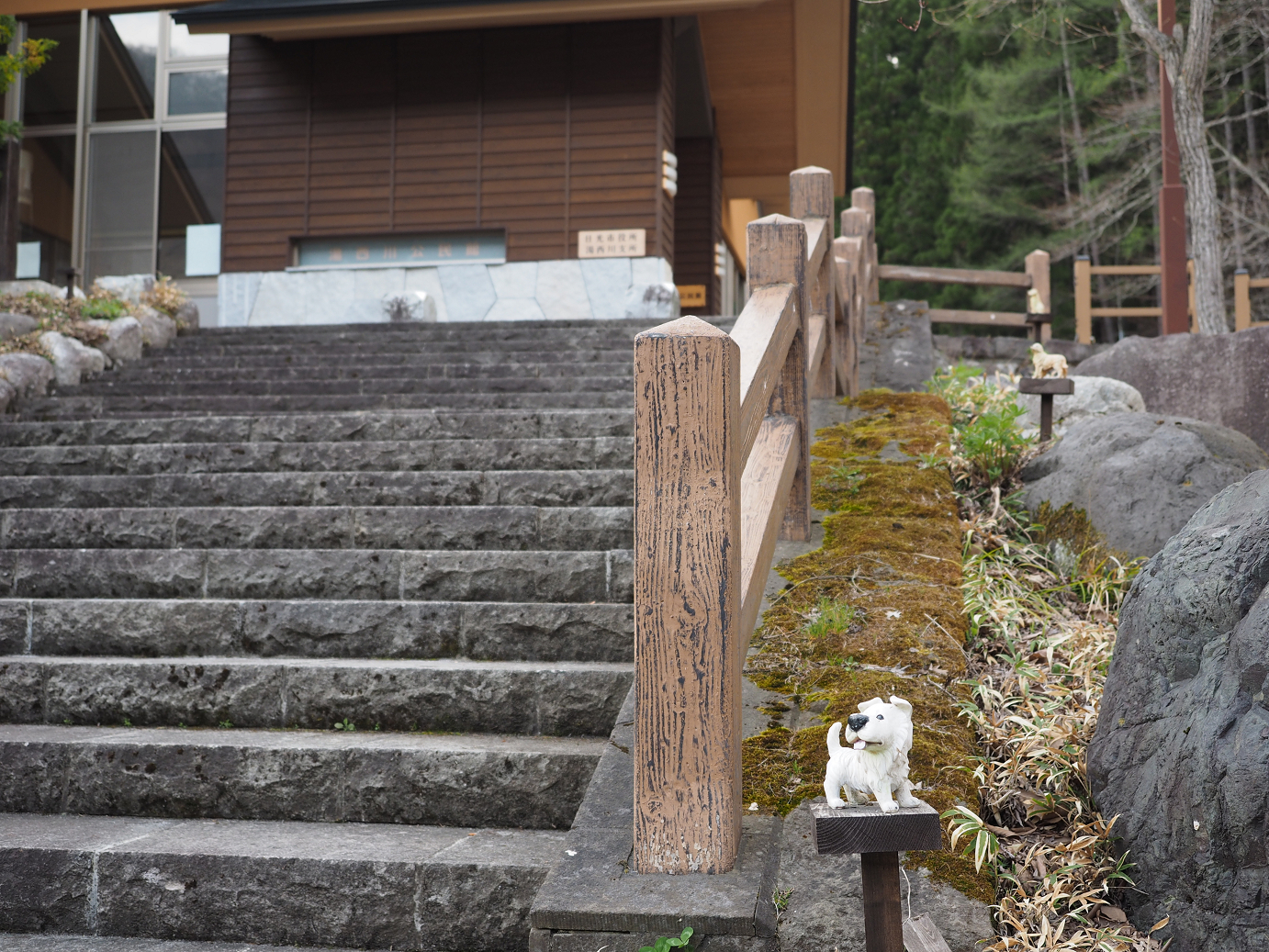 P4246813.jpg
