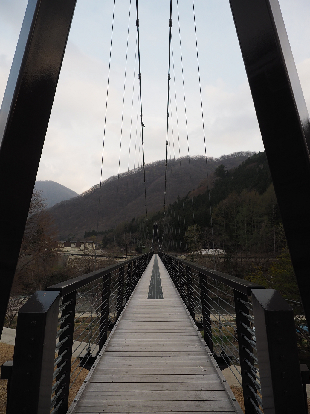 P4246817.jpg