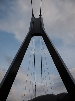 P4246820_thumb.png