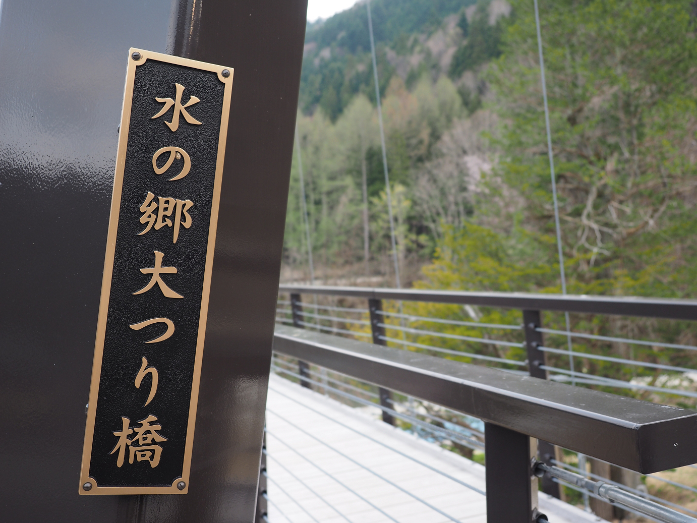 P4246821.jpg