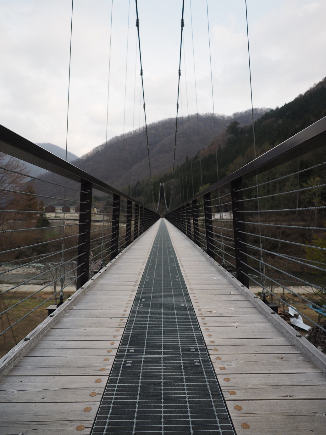 P4246822.jpg