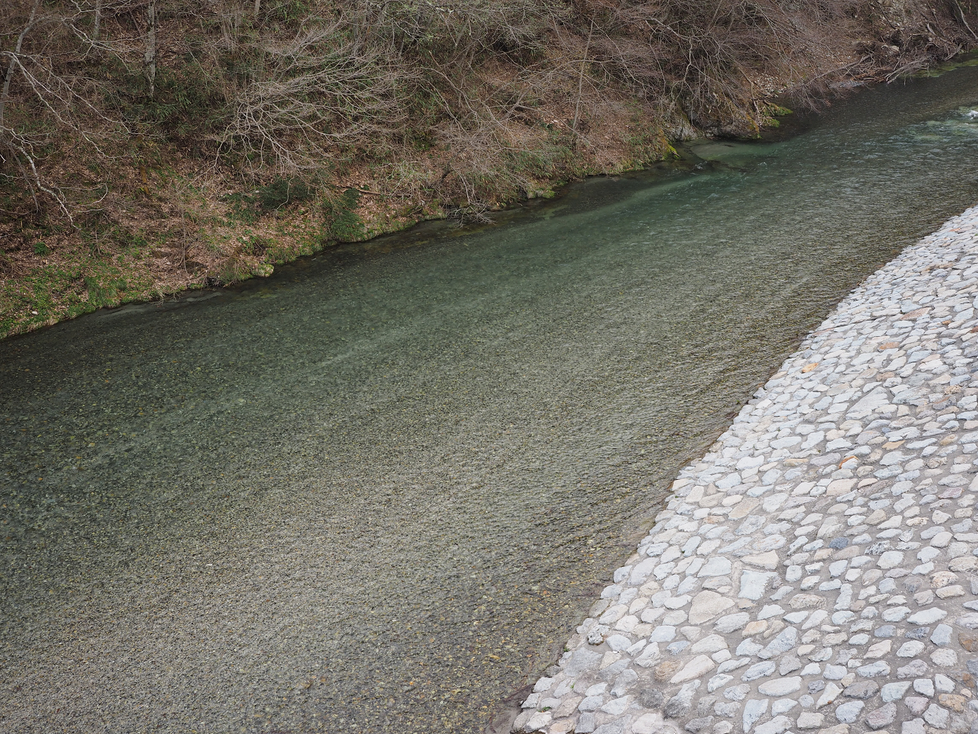 P4246827.jpg
