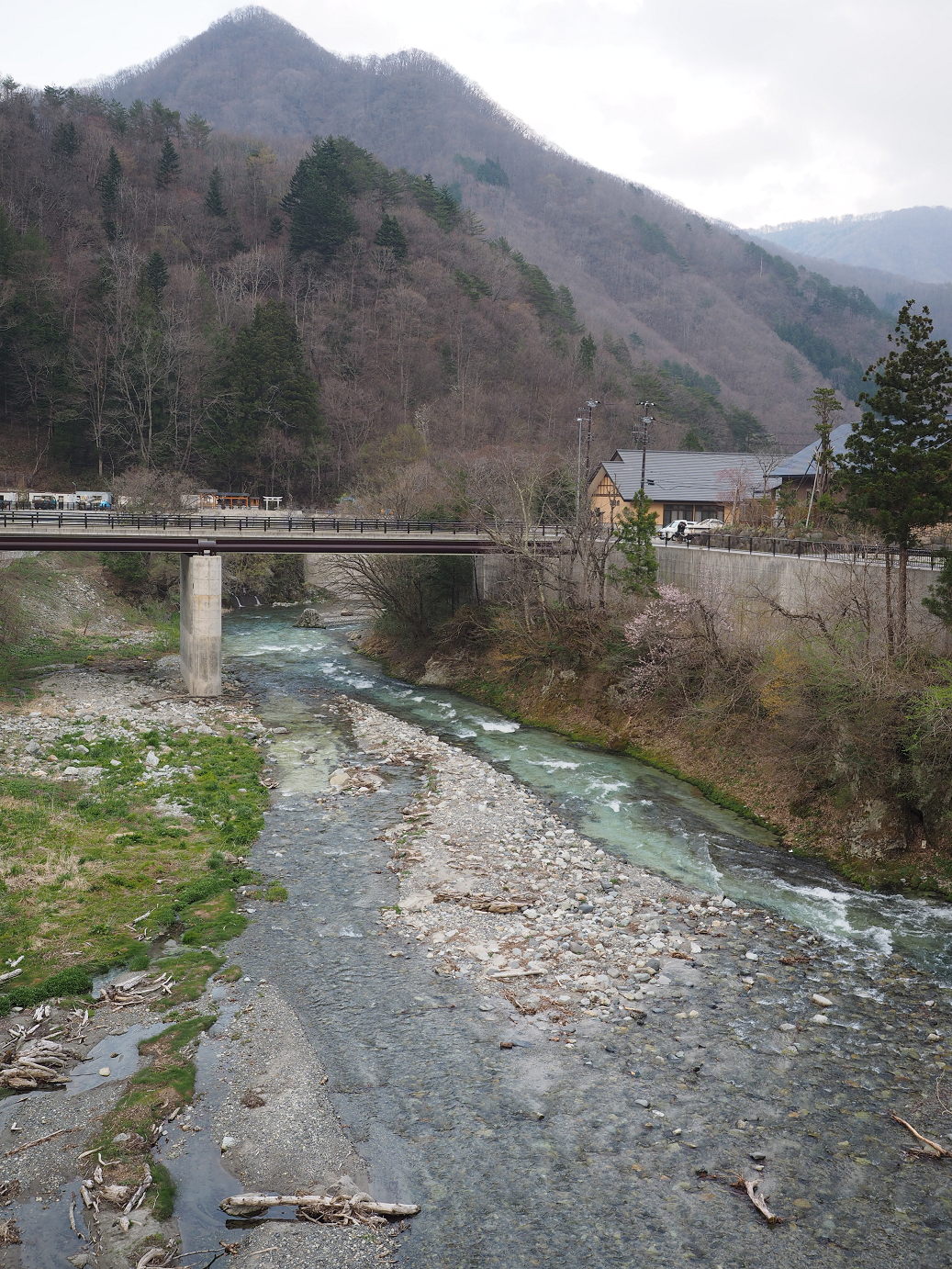 P4246829.jpg